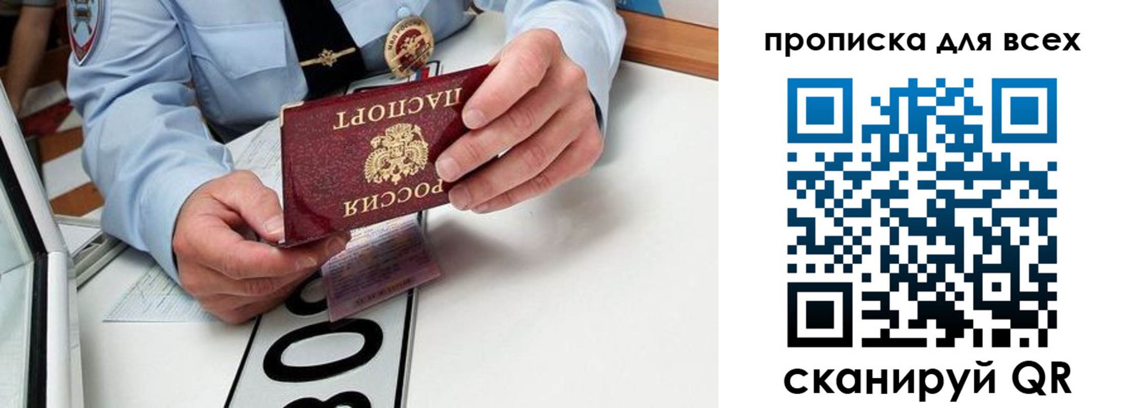 прописка для школы в Тосно